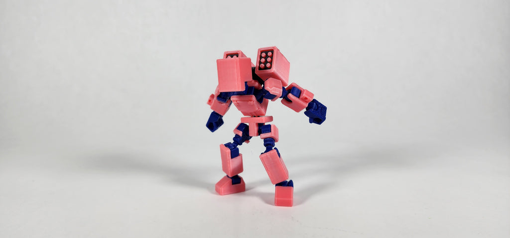 Pax Mini w/ Weapons Loadout 3D Printed Action Figure