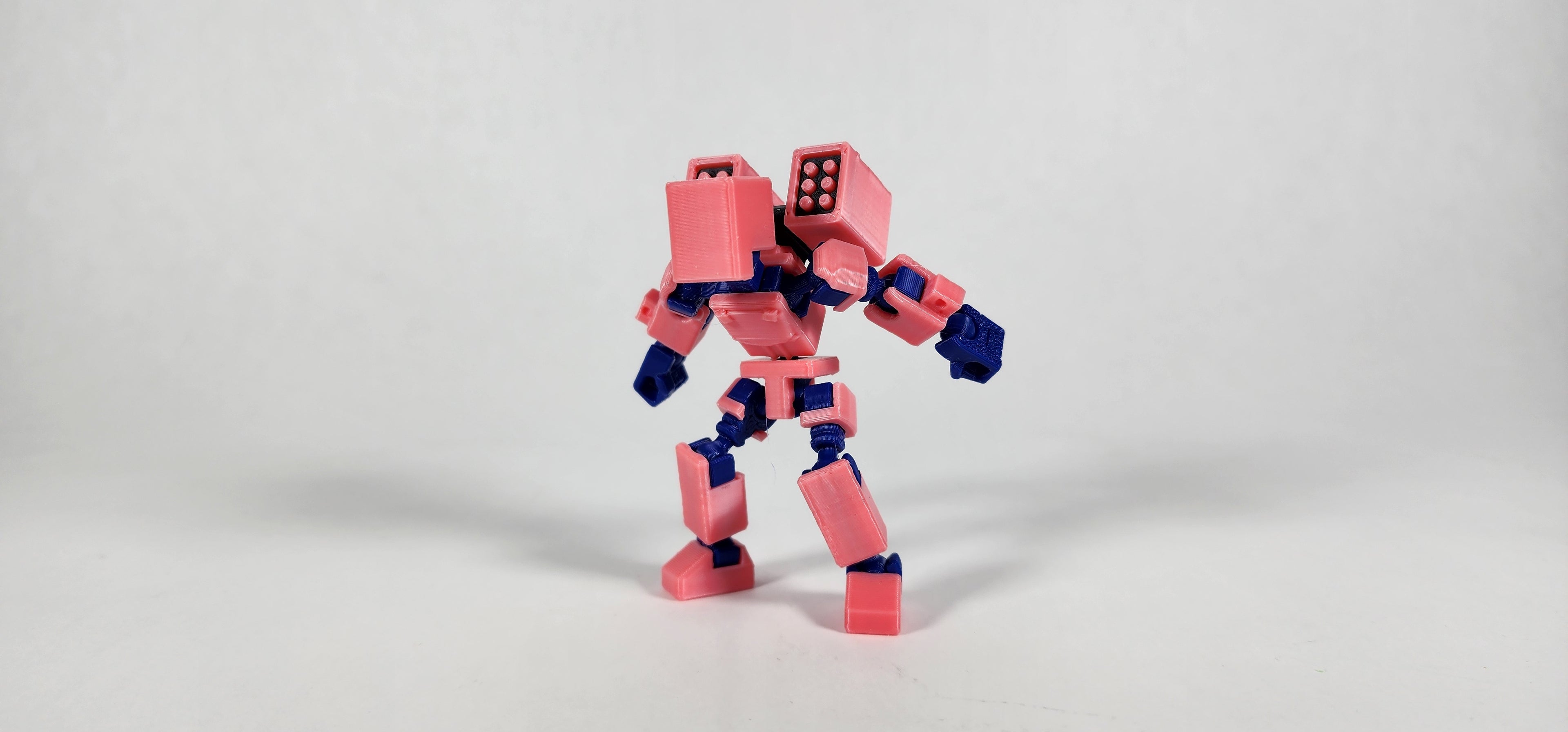 Pax Mini w/ Weapons Loadout 3D Printed Action Figure