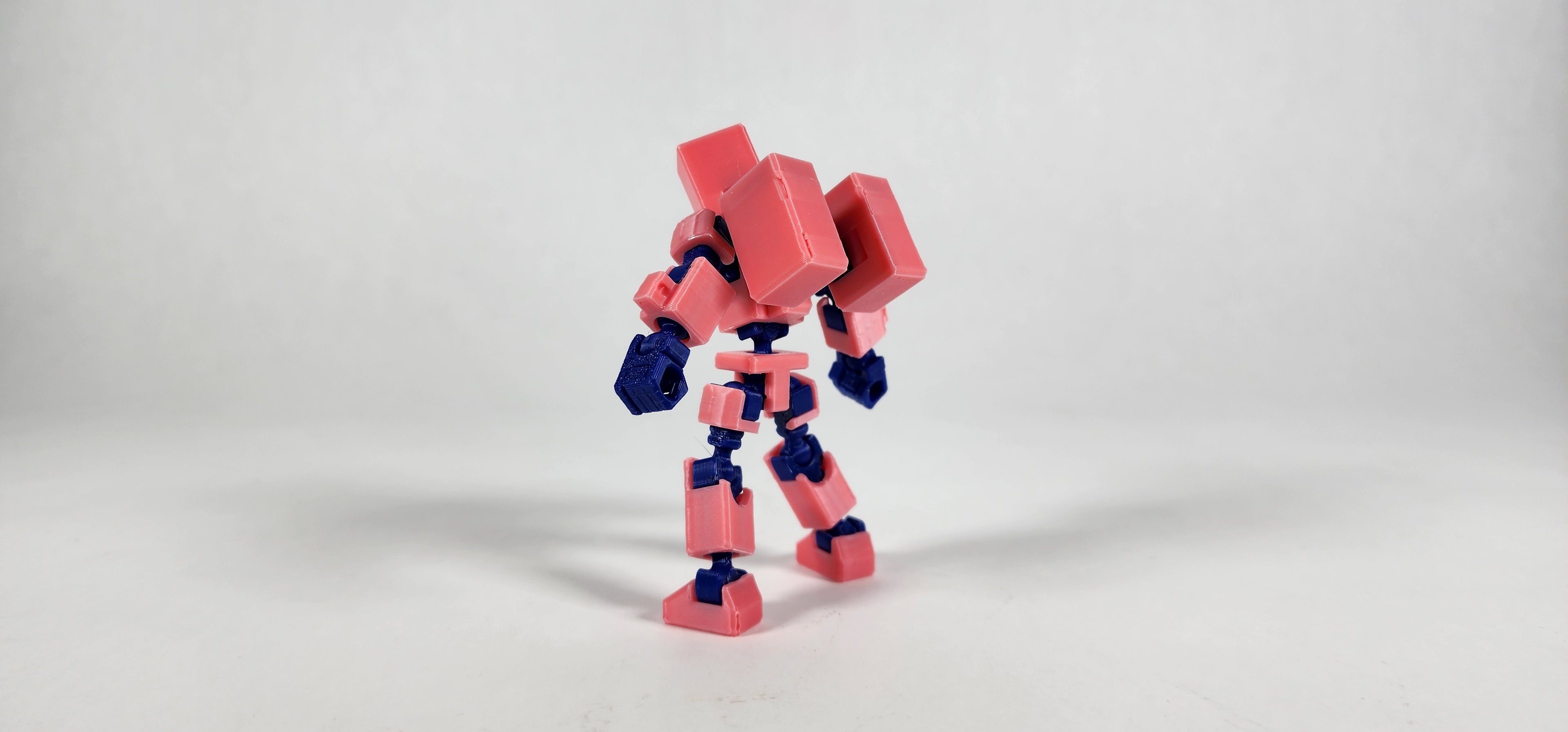 Pax Mini w/ Weapons Loadout 3D Printed Action Figure