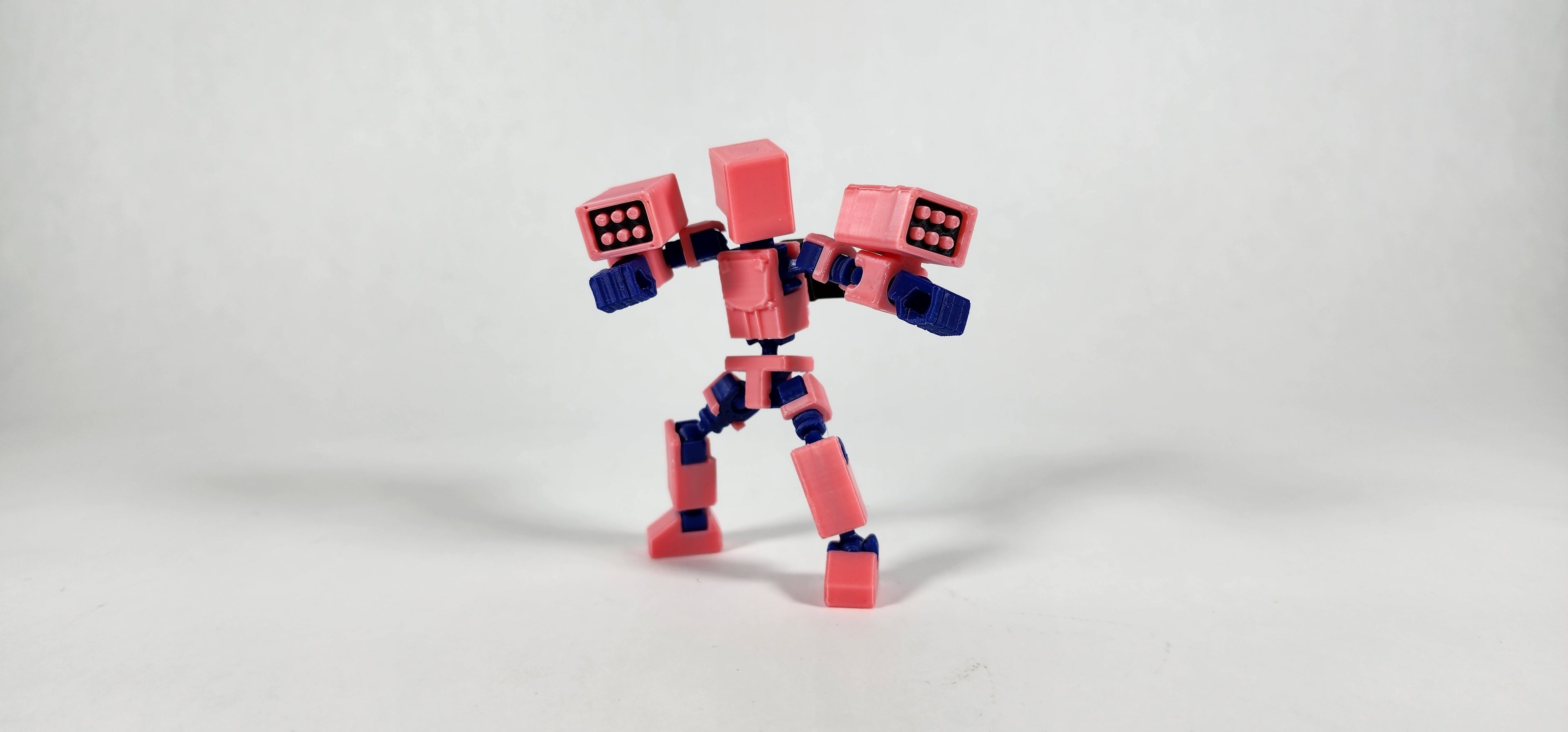 Pax Mini w/ Weapons Loadout 3D Printed Action Figure