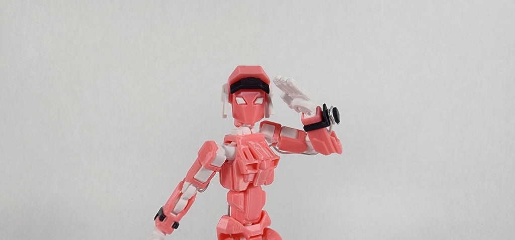 Pax One "The Valkyrie" Action Figure 3D Printed FULLY ASSEMBLED