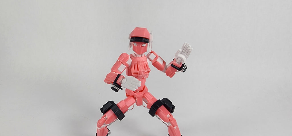 Pax One "The Valkyrie" Action Figure 3D Printed FULLY ASSEMBLED